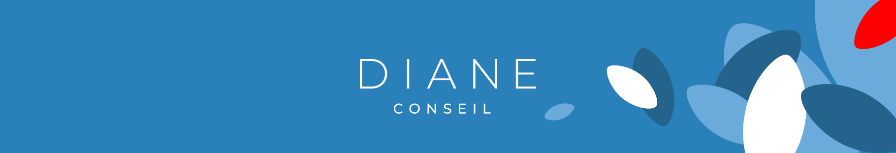 DianeConseil-LinkedinBanner-v3 Diane conseil, cabient de recrutement de cadres dans le secteur public en france